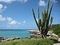 Aruba 2010 (5364301080).jpg