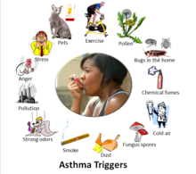 Examples of asthma triggers Asthma triggers 2.PNG