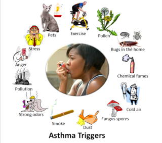 Asthma trigger