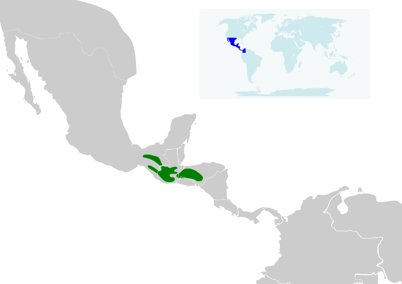 File:Atthis ellioti map.svg