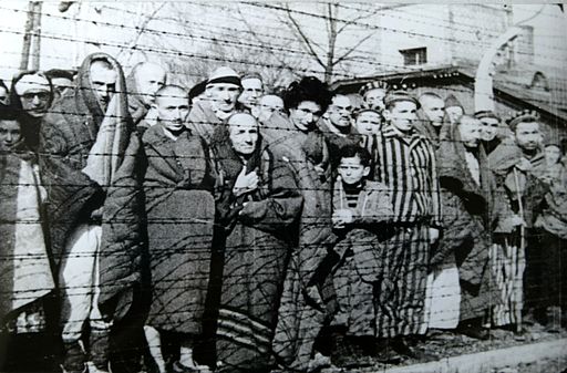 512px-Auschwitz_Liberated_January_1945.jpg (512×337)