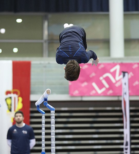 File:Austrian Future Cup 2018-11-23 Training Afternoon Parallel bars (Martin Rulsch) 0327.jpg