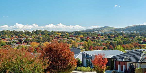 Autumn foliage in Canberra