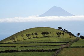 Азорский пейзаж на фоне горы Пику