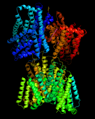 Crystal structure of a bacterial dicarboxylate carrier Bacterial DIC.png