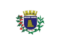 Bandeira de Ribeirão Branco