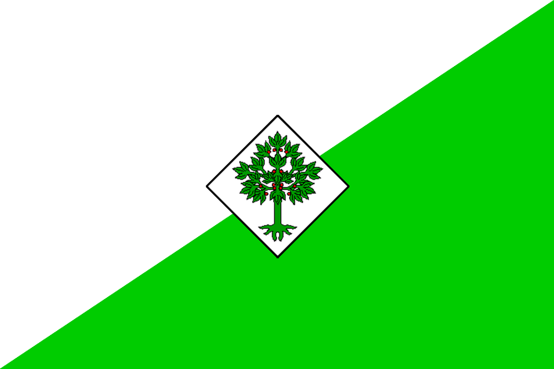 File:Bandera Lloret.png