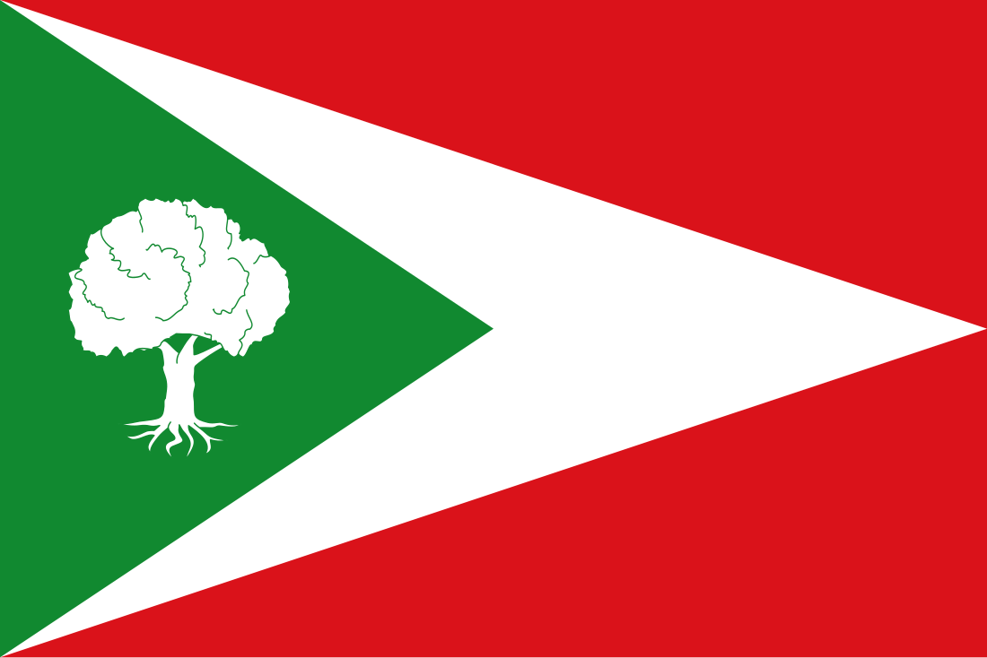 File:Bandera de Tosantos.svg