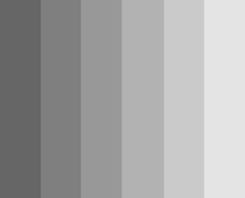 Along the boundary between adjacent shades of grey in the Mach bands illusion, lateral inhibition makes the darker area falsely appear even darker and the lighter area falsely appear even lighter. Bandes de mach.PNG