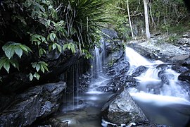 Bangalore Falls, národní park Bindarri.jpg