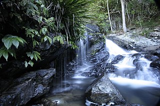 Bindarri National Park Protected area in New South Wales, Australia