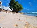 Playa de Barbados