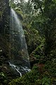 * Nomination Cascada de los Tilos, Barranco del Agua, La Palma --Llez 02:57, 4 May 2019 (UTC) * Decline  Oppose Motion blur oversharpened --MB-one 13:03, 5 May 2019 (UTC)