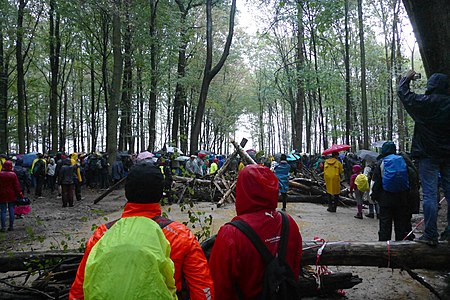 and barricades and a walk in the forest, near edge of a brown coal mine.