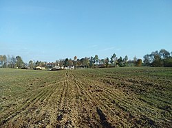 Field in Plebania Wólka