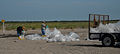 Beach Clean up during DWH (8744735662).jpg