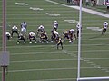 Bears on offense