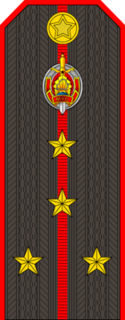 Belarus Police—07 Captain rank insignia (Gunmetal).png