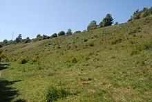 Bevendean Down (Local Nature Reserve)