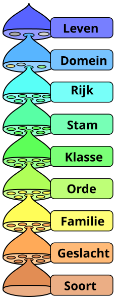 Indeling van alle levende wezens.