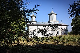 Bărcănești - View