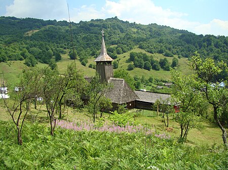 Băiuț