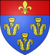 Pithiviers bayrağı