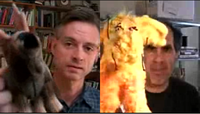 Wright and Mickey Kaus comparing stuffed moose visual aids on Bloggingheads.tv. Bloggingheads Moose comparison.png