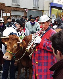 Photo d'un clown avec une trompette à côté d'une vache