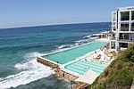 Bondi Icebergs