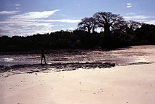 Bongoyo Island, 1979