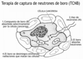 Miniatura de la versión del 16:17 10 may 2023