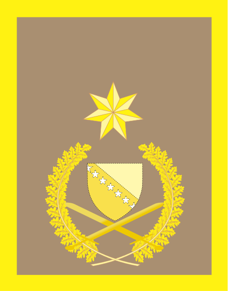 File:Bosnia and Herzegovina Brugadier-general Insignia.svg