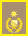 Armed Forces of Bosnia and Herzegovina: brigadni general