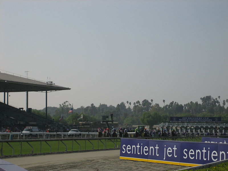 File:Breeders Cup 2009 008 (4108580440).jpg