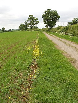 Bridleway and cycle route - geograph.org.uk - 437500