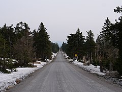 Brockenstraße in April 2019 18.jpg 78885942 6 571 20190601074155