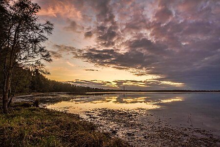 Budgewoi Lake Sunrise (18030459915)