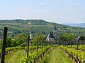 Ansicht vom Mainzer Berg im Frühling