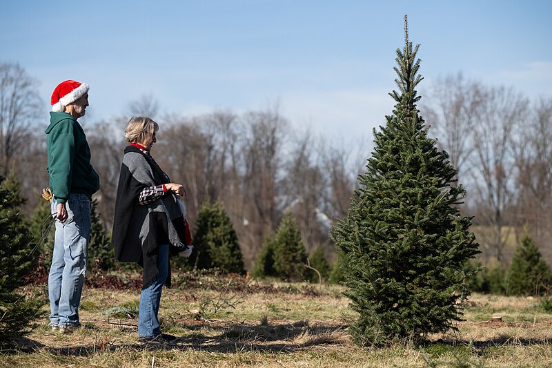 File:Butler's Orchard Farm Market in Germantown, Maryland on 8 December 2023 - 27.jpg