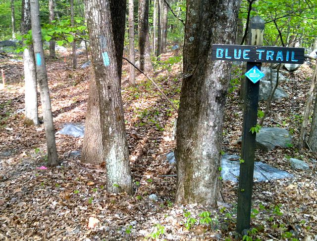 An example of several different trail markers in use: wooden sign, blue diamond sign, light blue paint blazes. The Housatonic Range Trail (AKA Candlew