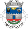 Coat of arms of Carvoeiro