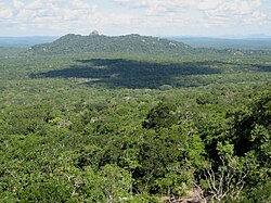 Cabo Delgado - foresta (5648900308) .jpg