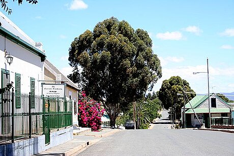 Calitzdorp (lungsod sa Habagatang Aprika)