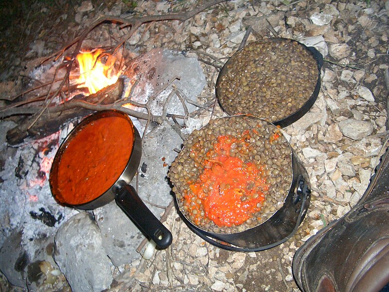 File:Campfire dinner.jpg