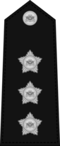 Captain Insignia.png