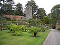 Castle Balzieland ruin in Logan Botanic Gardens.