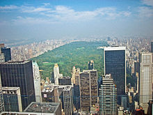 Der Central Park sorgt in New York City für ein besseres Stadtklima