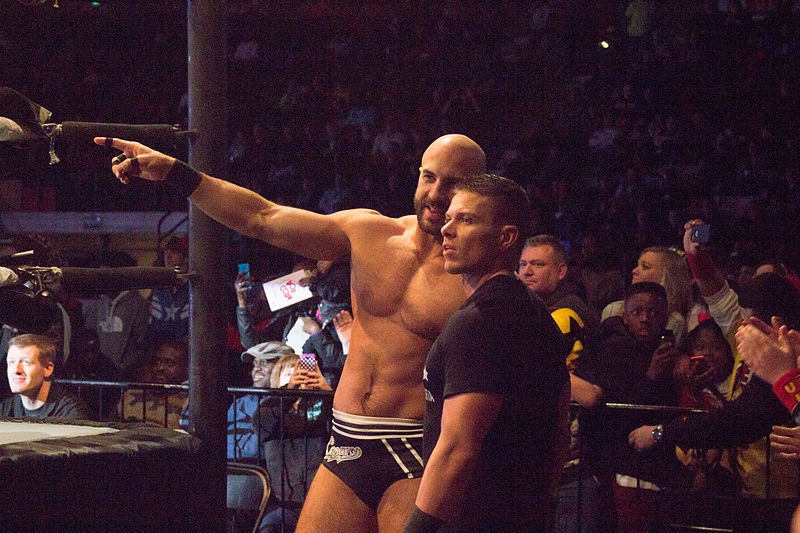 File:Cesaro and Kidd in 2015.jpg