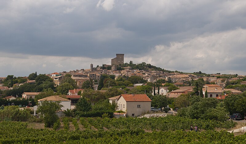Fichier:Châteauneuf-du-Pape, Provence, France (6053048170).jpg